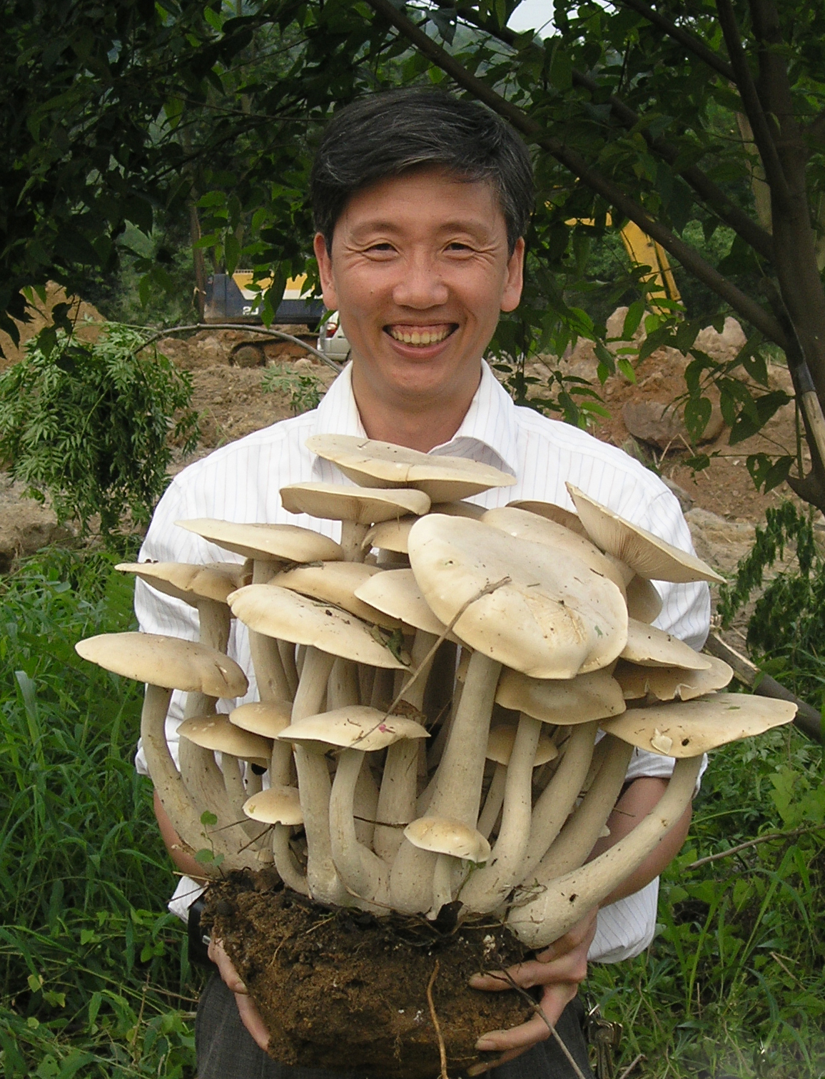 李泰辉