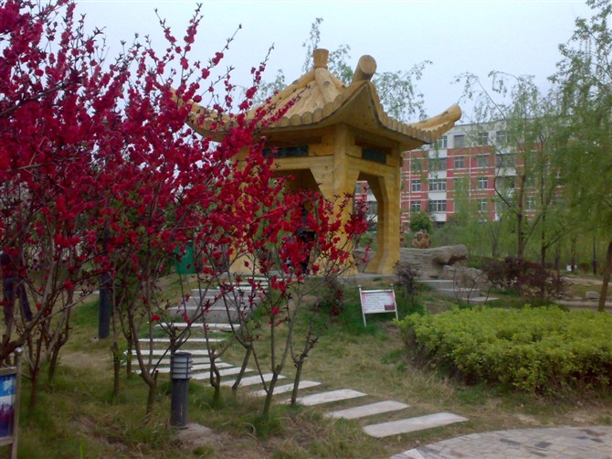 学校美景