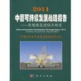 2011中国可持续发展战略报告：实现绿色的经济转型(2011中国可持续发展战略报告——实现绿色的经济转型)