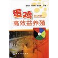 蛋鸡高效益养殖