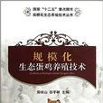 规模化生态蛋鸡养殖技术
