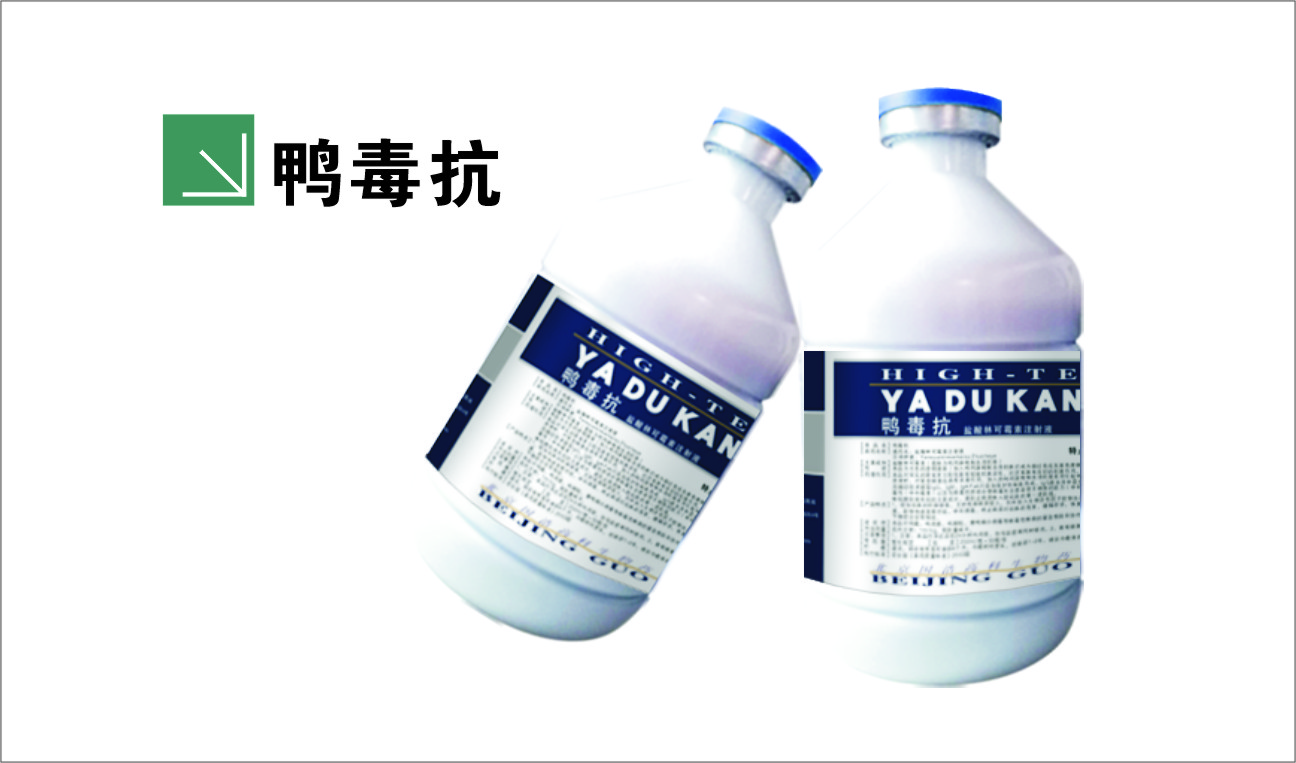鸭瘟