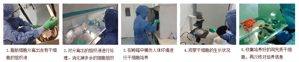 BIO自体脂肪激活