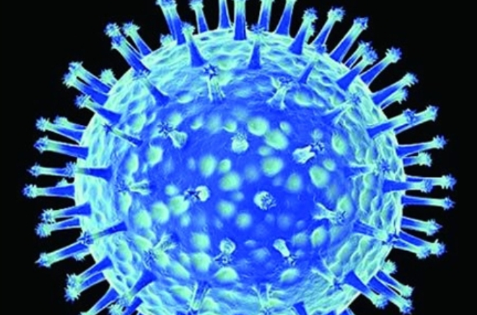 H7N7
