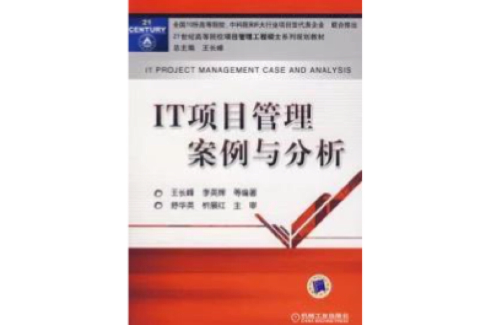 IT项目管理案例与分析
