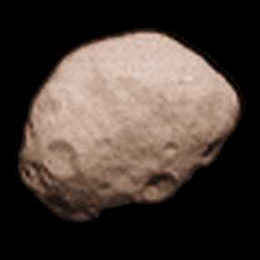 Janus Janus