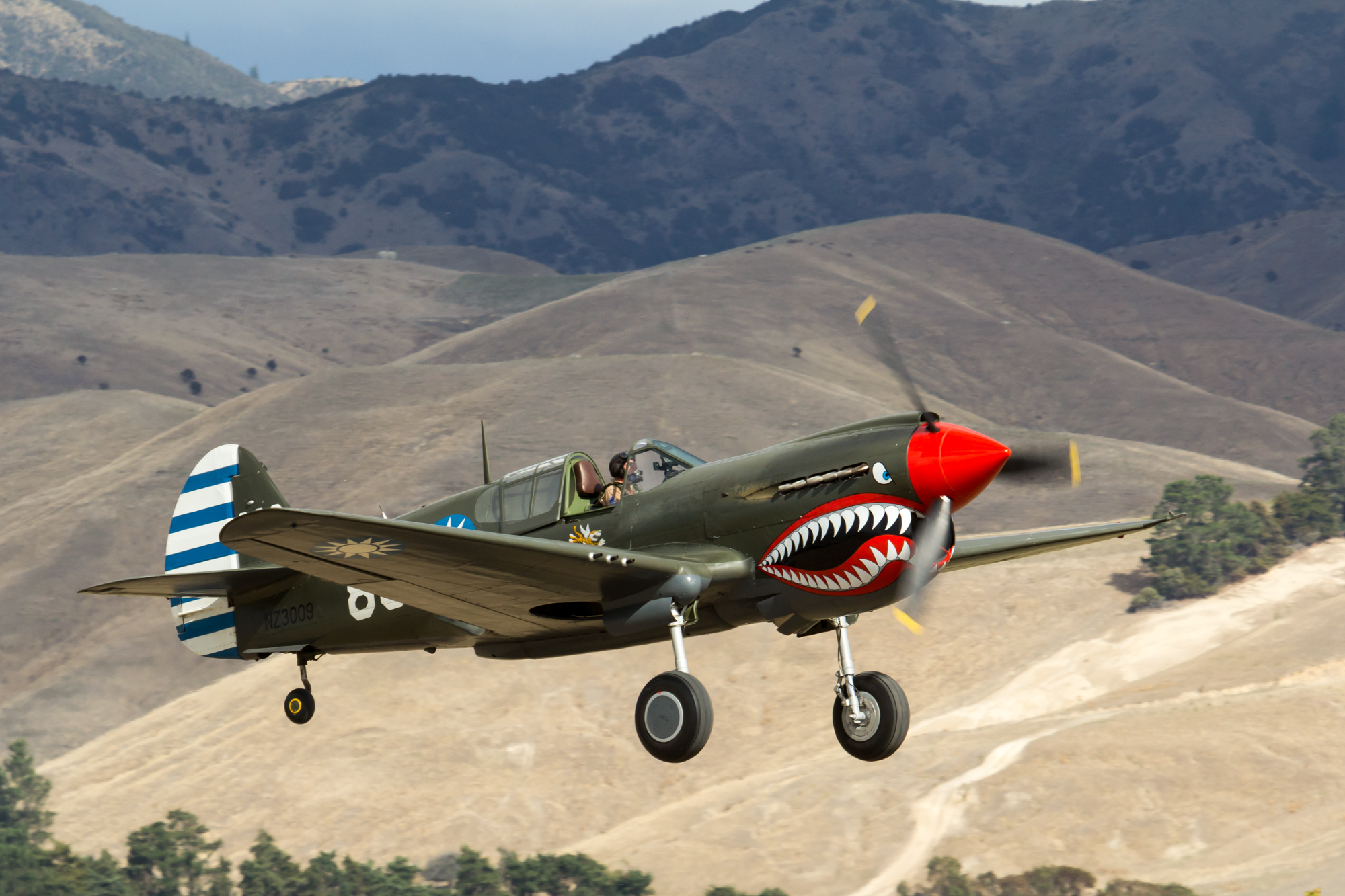 P-40“战鹰”战斗机