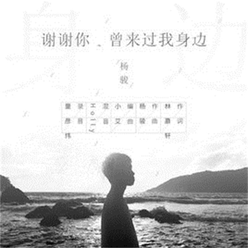 谢谢你，曾来过我身边(杨骏演唱歌曲)