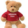 bear(英文单词)