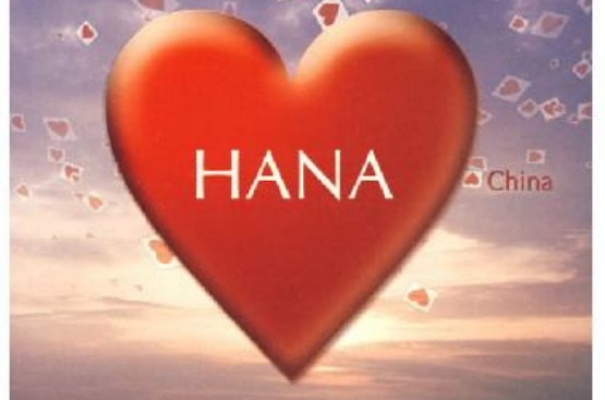 hana(hansey图书)
