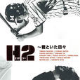 H2(日本2005年山田孝之主演电视剧)