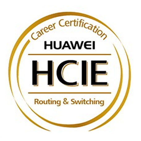 HCIE HCIE