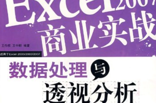 Excel2007商业实战数据处理与透视分析