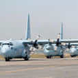 C-130H“大力士”