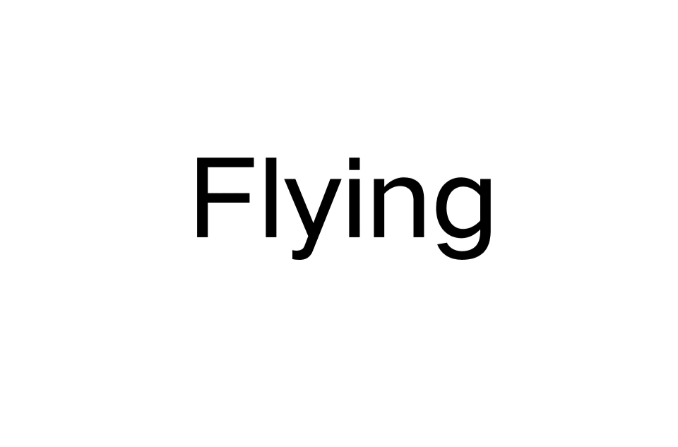Flying(英语词语)