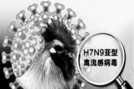 H7N9型禽流感 H7N9型禽流感