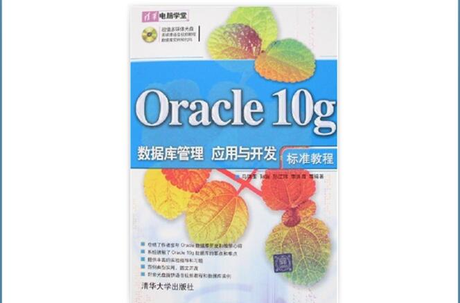 Oracle10g资料库管理套用与开发标準教程