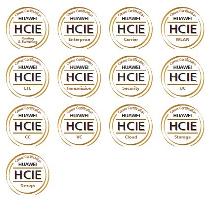 HCIE HCIE