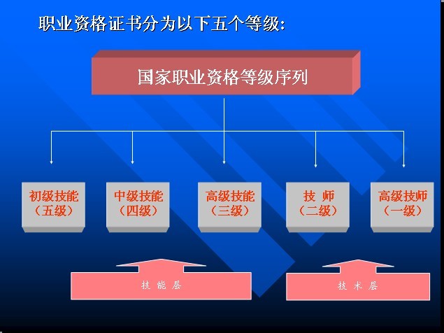 等级划分