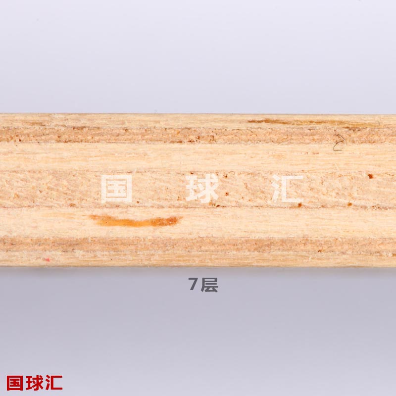 Challenge Speed的结构