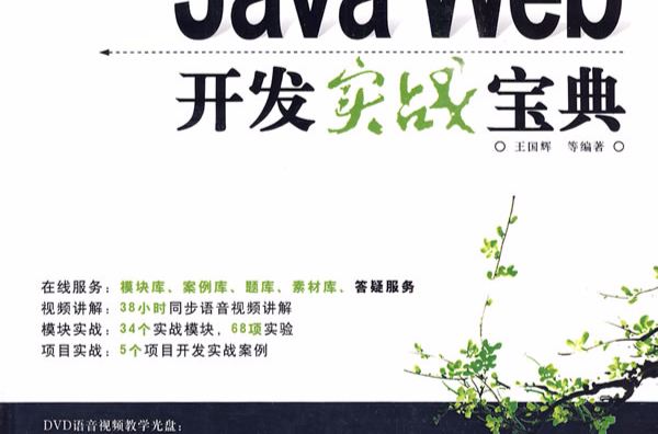 Java Web开发实战宝典