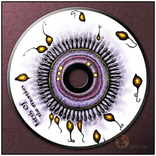 CD CD