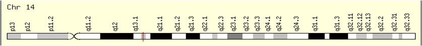 IKB-α