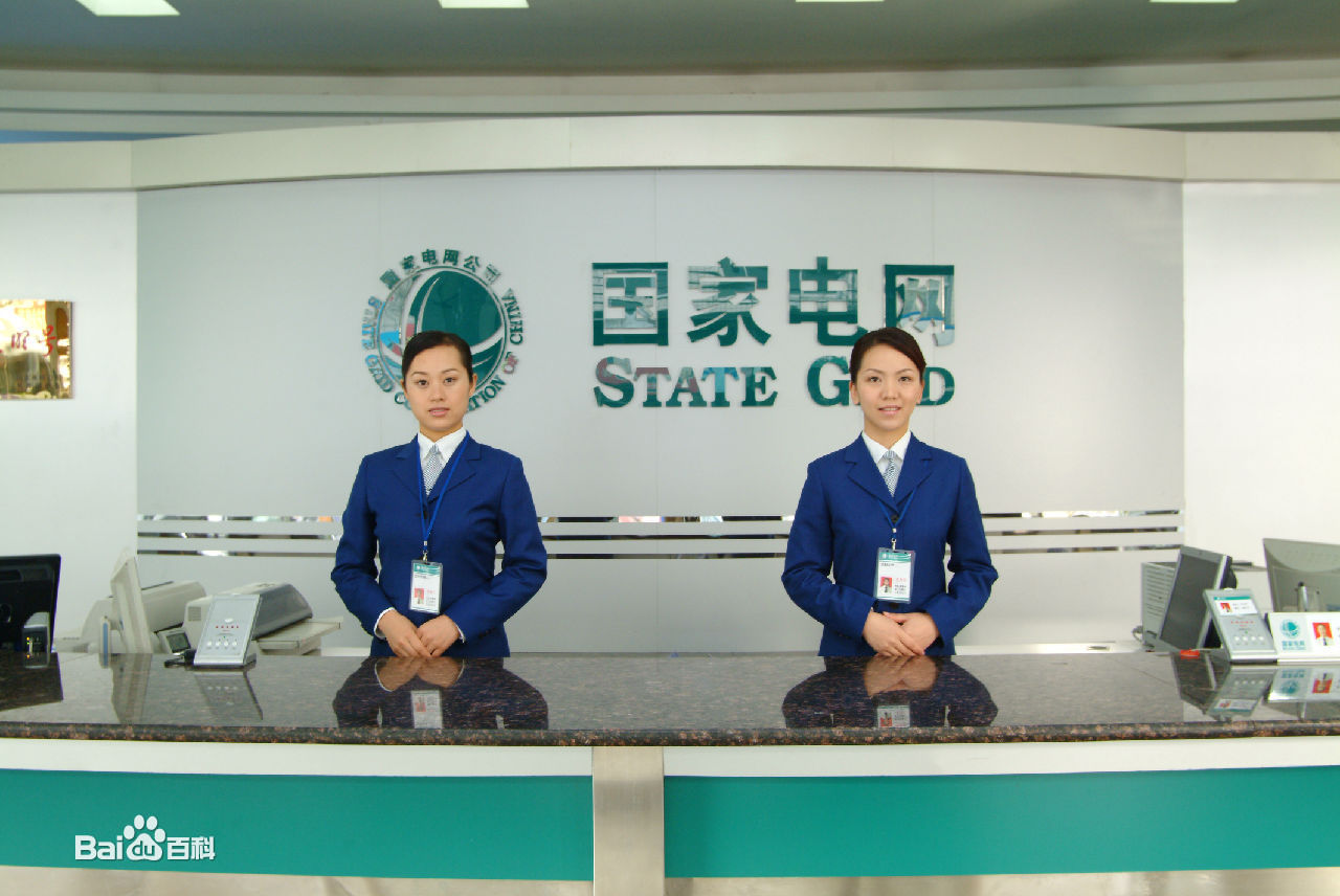 国家电网 国家电网