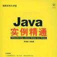 JAVA实例精通