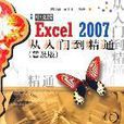 Excel 2007中文版从入门到精通