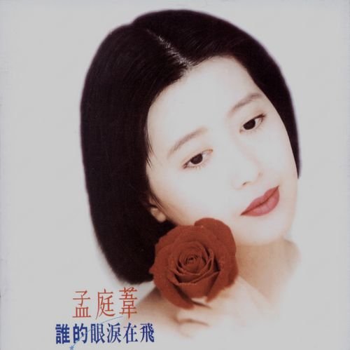 谁的眼泪在飞(孟庭苇演唱的歌曲)