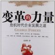 变革的力量：危机时代企业发展之道