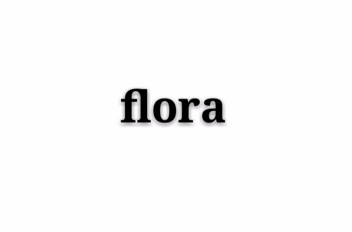 flora(人名，希神名，商标)