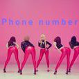 Phone Number