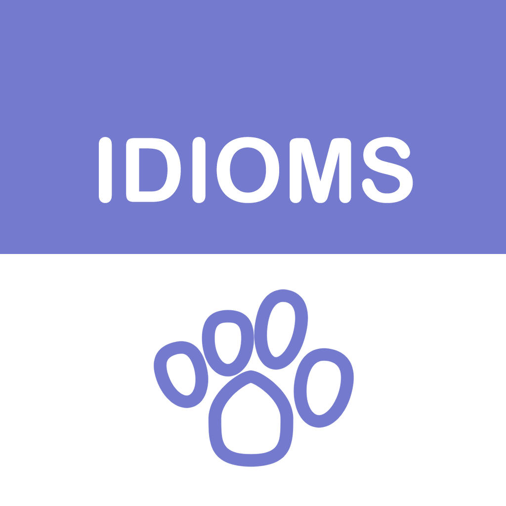 IDIOM(指标性滑雪专门品牌)