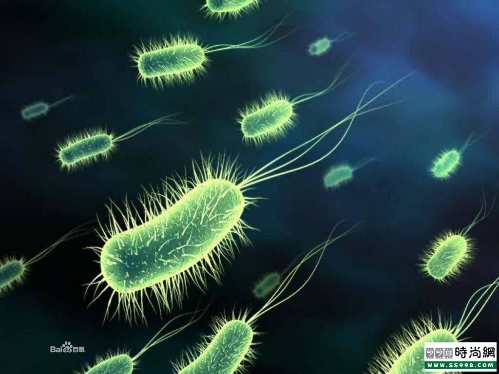 biology(生物学) biology(生物学)