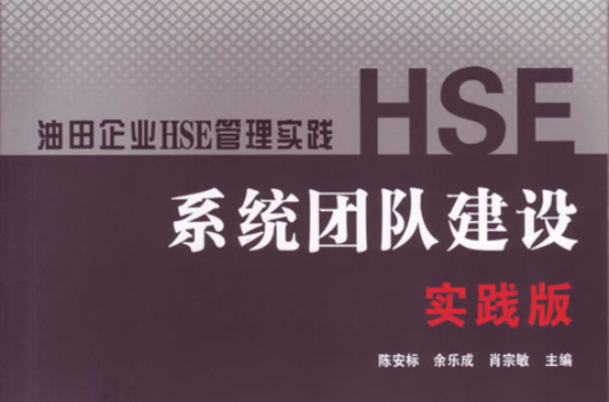 HSE系统团队建设