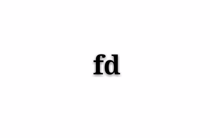 fd(导演助手)