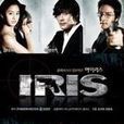 IRIS特务情人