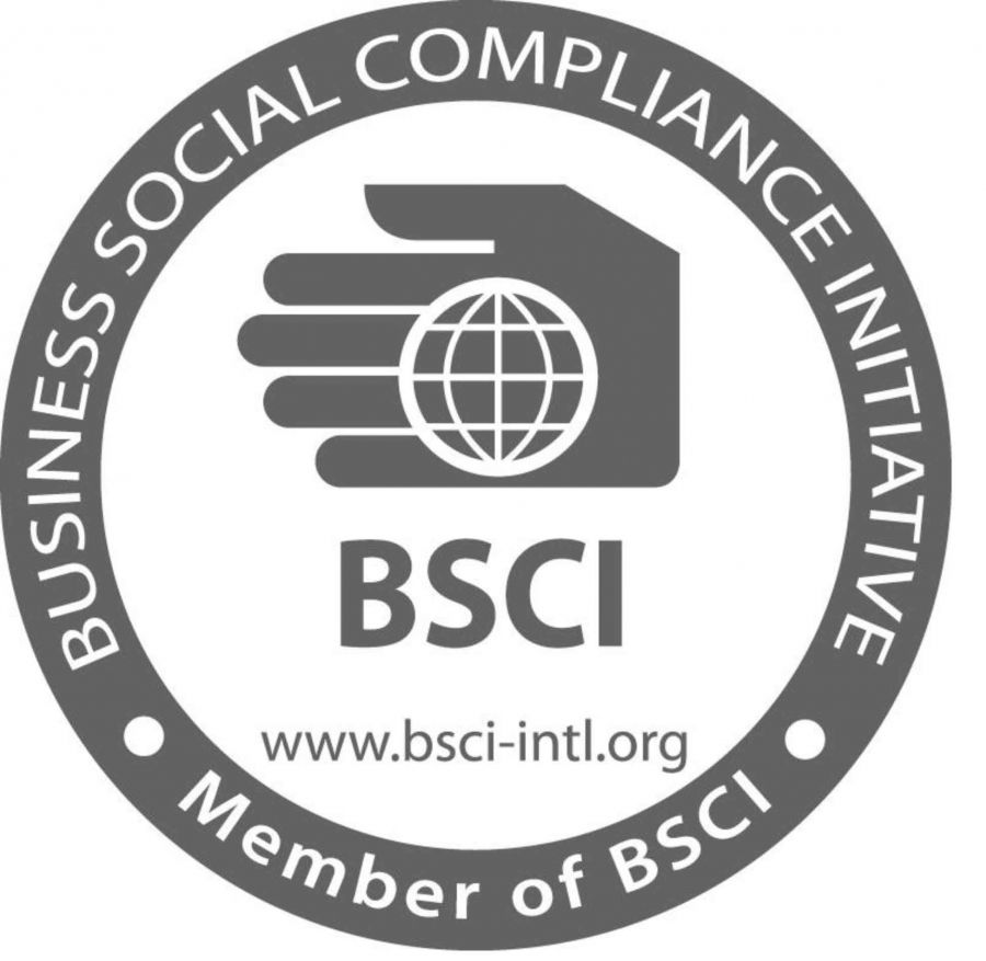 BSCI验厂