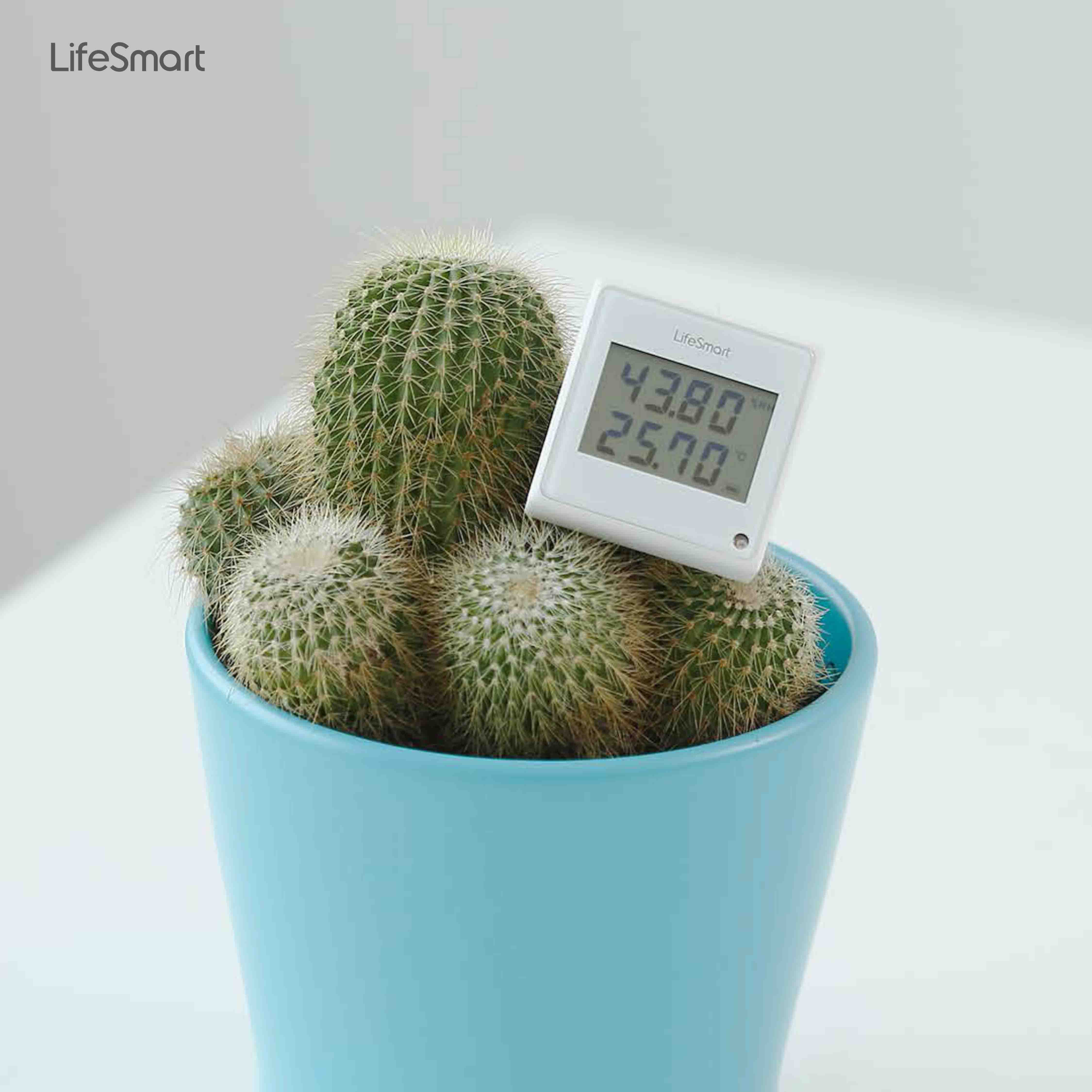 LifeSmart