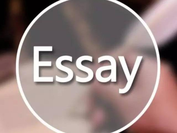 essay(话题作文和论文的统称)