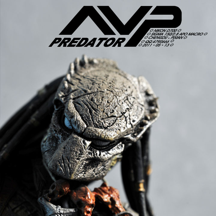 AVP(香港阿威普集团)