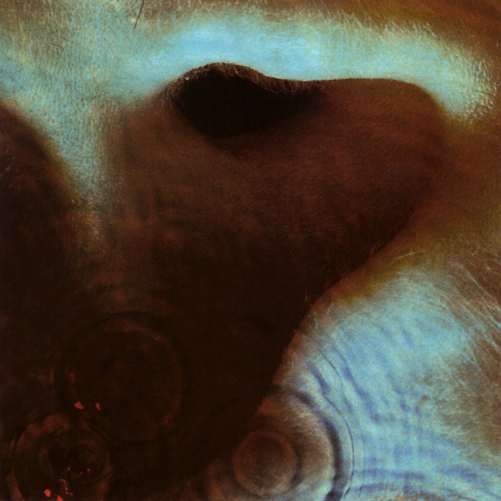 echoes(echoes)