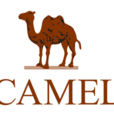 CAMEL(骆驼（中国）户外用品有限公司品牌)