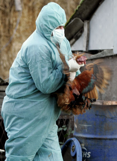 H5N1