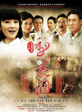 许歌(中国大陆影视女演员、歌手)