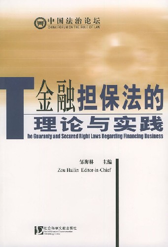 金融担保法的理论与实践 金融担保法的理论与实践
