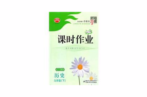 课时作业九年级历史