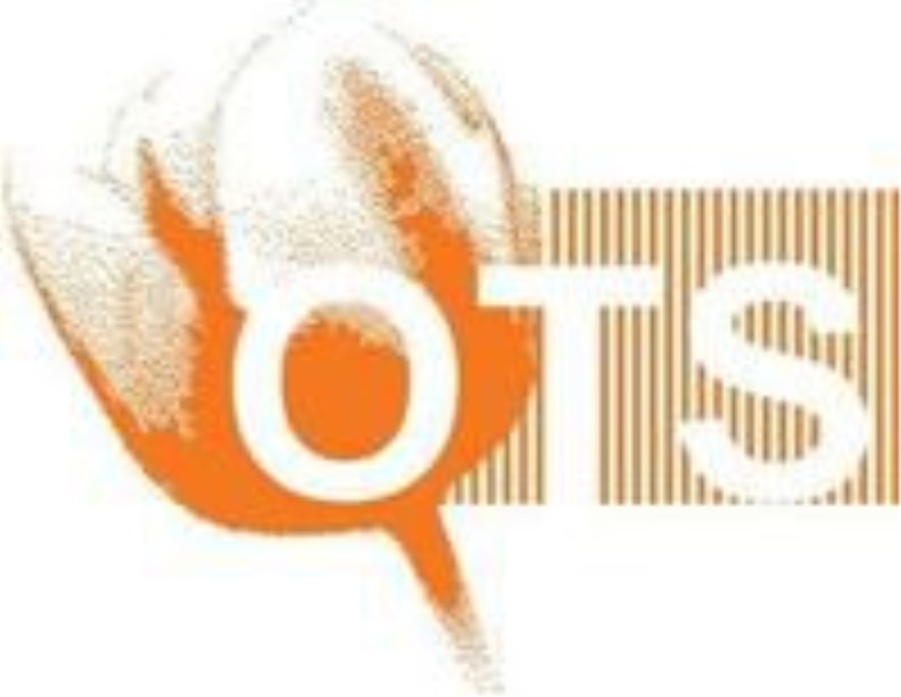 OTS(荷兰橙色郁金香奖学金项目)